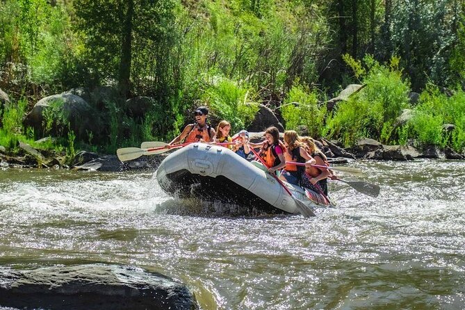 Durango Half Day Rafting Trip - Lower Animas River - How much value do you get for $107.91?