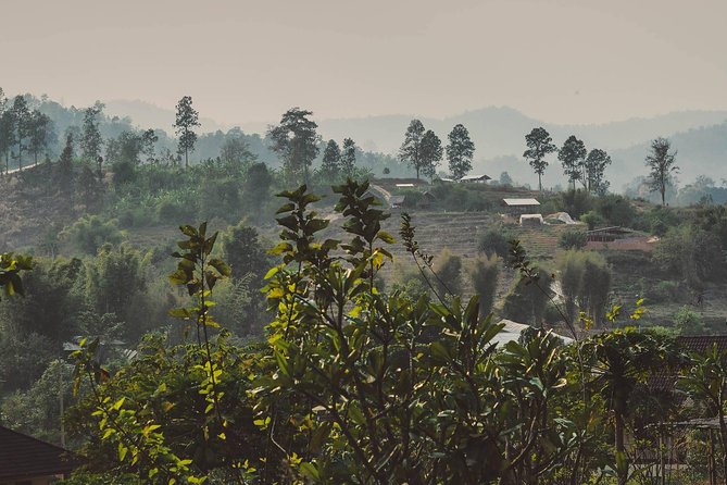 Elephant Sightings , Bamboo Rafting Through The Jungle, Swimming In a Waterfall - Why this Chiang Mai day trip works well