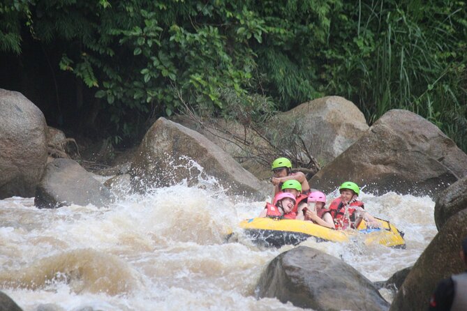 Ethical Elephant Visit and White Water Rafting in Chiang Mai - What the elephant visit feels like in practice