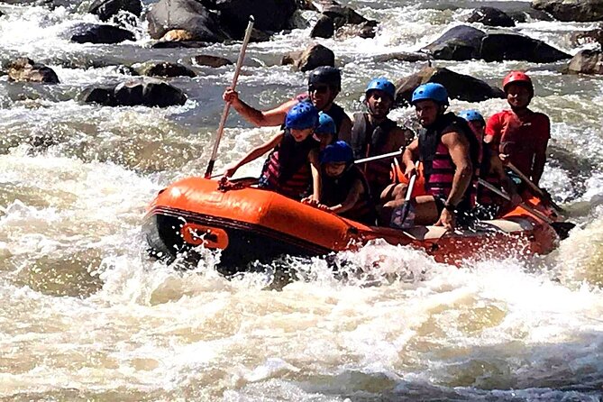 Ethical Elephant Visit and White Water Rafting in Chiang Mai - Who should book this tour?