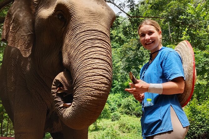 Ethical Elephant Visit and White Water Rafting in Chiang Mai - Meeting the elephants at E-Co Adventure Camp
