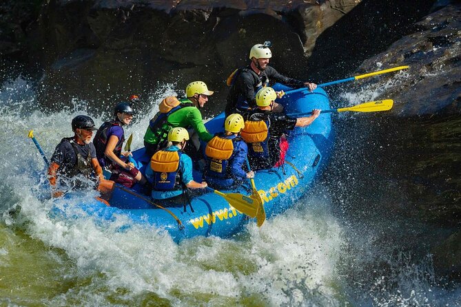 Fall Upper Gauley Full Day Whitewater Rafting - Key Points Before You Book