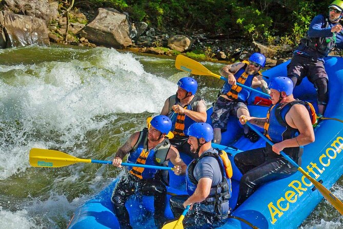 Fall Upper Gauley Full Day Whitewater Rafting - Who Should Book This Rafting Trip?