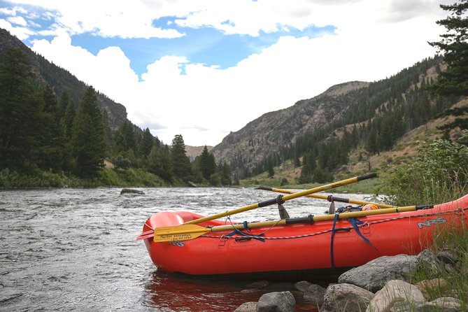 Family Friendly Gallatin River Whitewater Rafting - What guides add to the experience