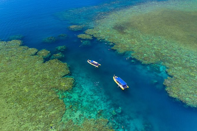Fly Raft Package: Whitehaven Beach, Snorkel and Scenic Flight - Whitehaven Beach and the tropical lunch
