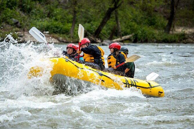 French Broad Gorge Whitewater Rafting Trip - Starting in Asheville at 521 Amboy Road