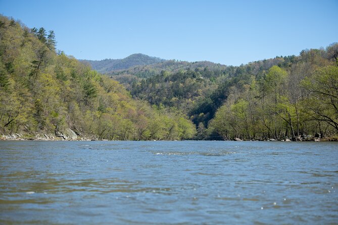 French Broad Gorge Whitewater Rafting Trip - Is four hours a good use of your Asheville schedule?