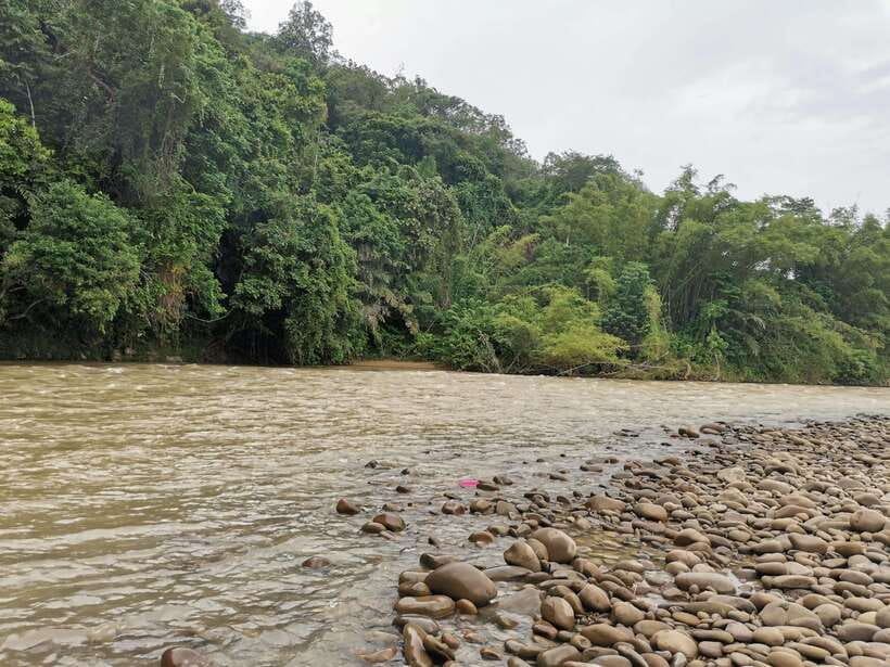 From Kota Kinabalu : Kiulu White Water Rafting Tour + meal - Lunch And The Practical Side Of The Day