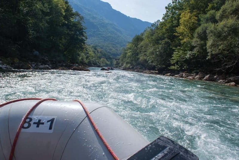 From Kotor: Montenegro Tara Rafting - Key points to know before you book