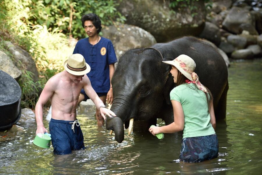 From Phuket: Elephant Care Experience with Rafting & Zipline - Guides Make or Break the Day