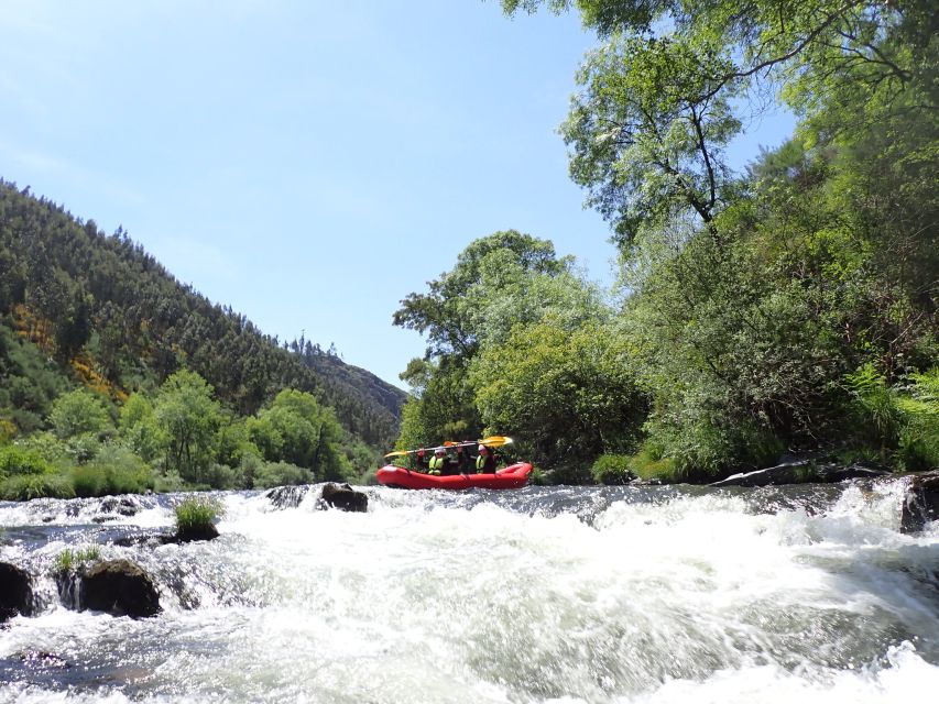 From Porto: Paiva River Canoe Rafting Adventure Tour - Who will enjoy this most?