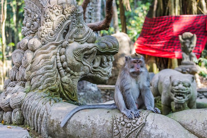 Full-Day Ayung River White Water Rafting and Ubud Tour - Sacred Monkey Forest: beautiful, unpredictable, and worth care