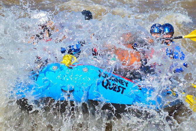 Full-Day Bighorn Sheep Canyon Rafting Adventure Cañon City CO - Swimming and the Double-Dip Rock Jump