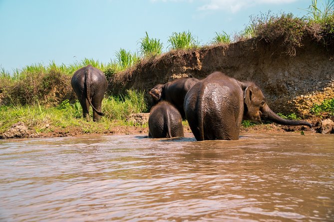 Full Day Chauffeur Driven Tuk Tuk Adventure in Chiang Mai including rafting - The Remote Temple and Its Big View
