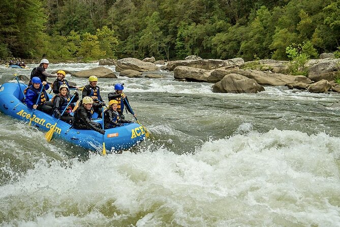 Full Day Fall Lower Gauley Rafting in West Virginia - A Full-Day Rhythm, From River Transfer to Lunch