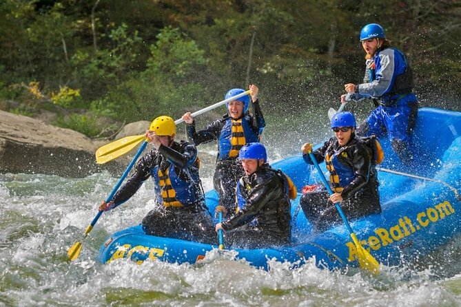 Full Day Fall Lower Gauley Rafting in West Virginia - Who Should Book This Rafting Trip?