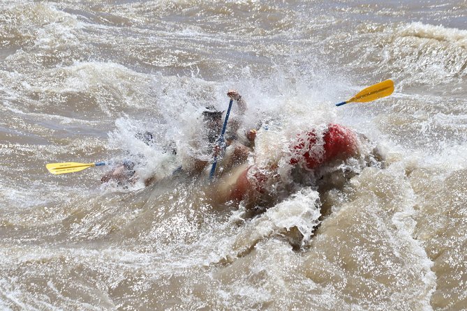 Full day Fisher Towers Rafting - Moab - Fisher Towers from the Colorado River