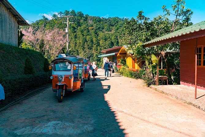 Full-Day Guided Tuk Tuk Chiang Mai Adventure and Rafting - A quiet mountainside temple