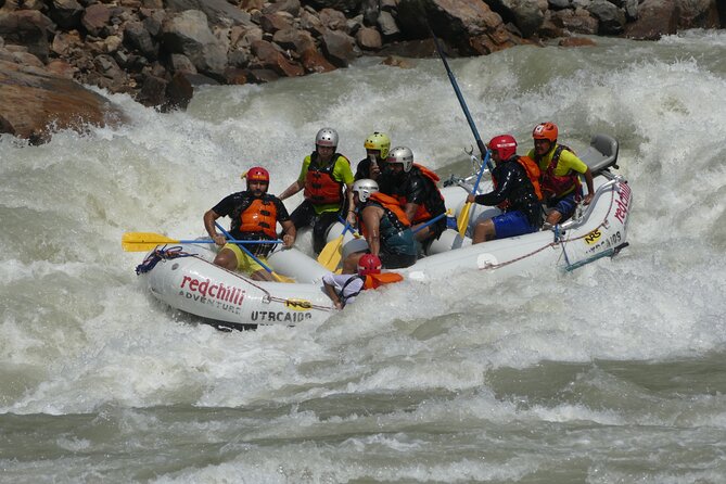 Full Day Rafting in Rishikesh - 35KM - Price, group size, and overall value