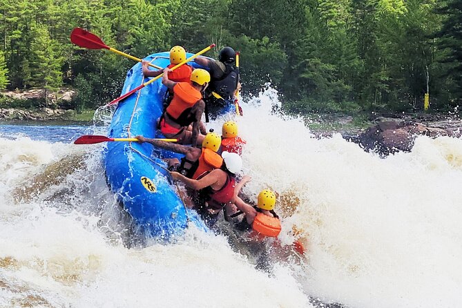 Full day rafting on the Ottawa River - Is $118.75 a fair price?