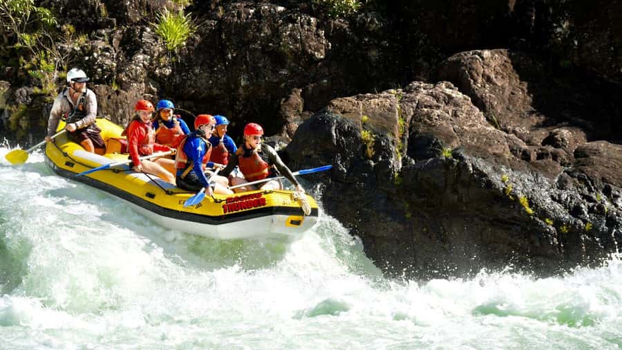 Full Day White Water Rafting From Cairns or Mission Beach - Quick points before you book