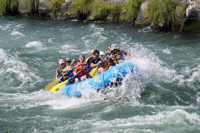 Full Day Whitewater Rafting - Deschutes River - Key points to know before you book