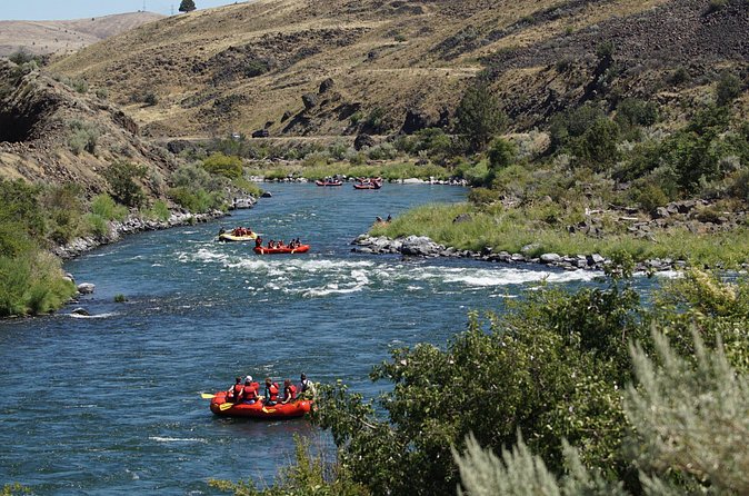 Full Day Whitewater Rafting - Deschutes River - Scenery, birds, and river stories