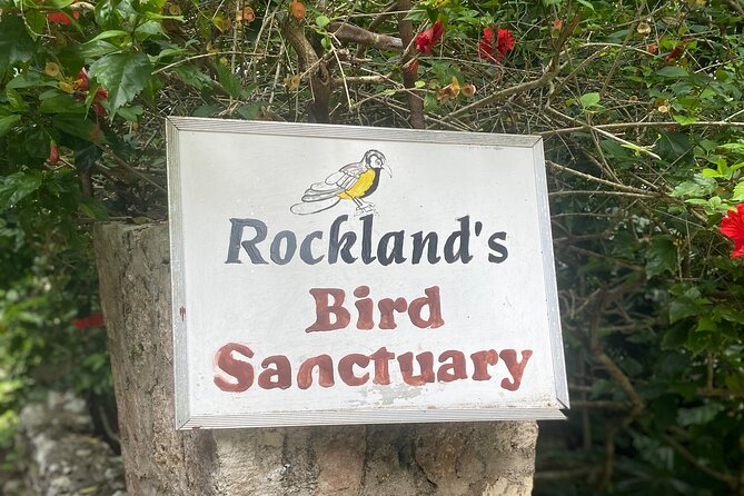 Great River Bamboo Rafting and Bird Sanctuary Combine Tour From Montego Bay - The limestone body massage on the river