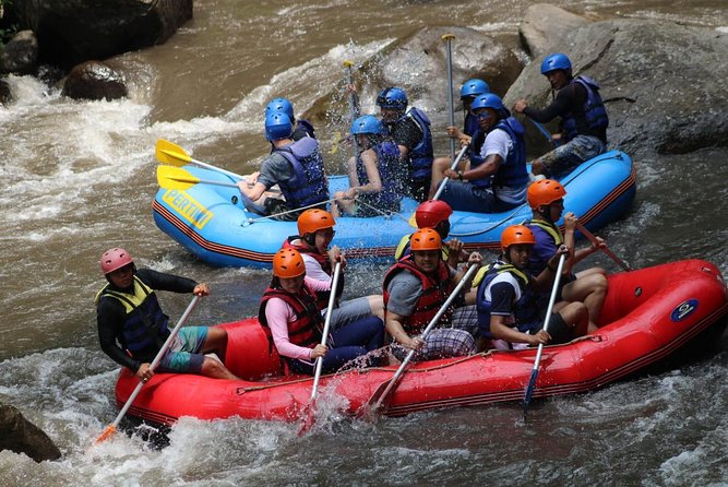 Green Bali Rafting Ticket And Transfer - Lunch at the finish point