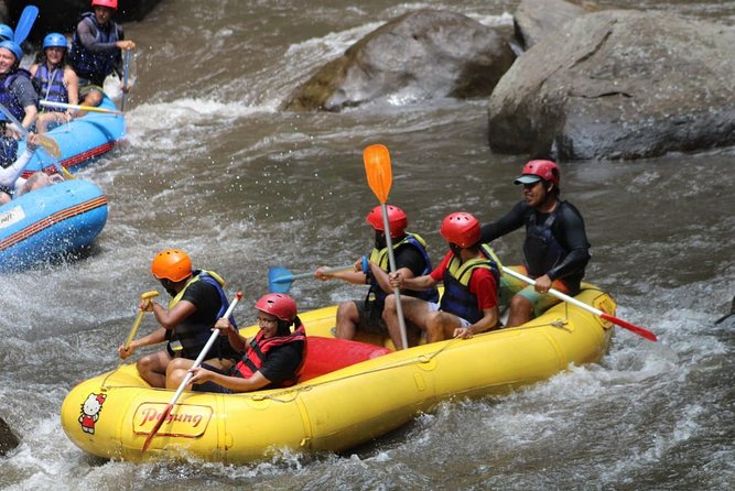 Green Bali Rafting Ticket And Transfer - Is $23.07 good value from Seminyak?
