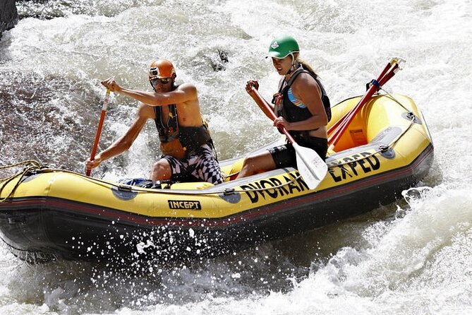 Half-Day Arkansas River - Salida Canyon Rafting Tour - A guide can shape the whole four-hour experience