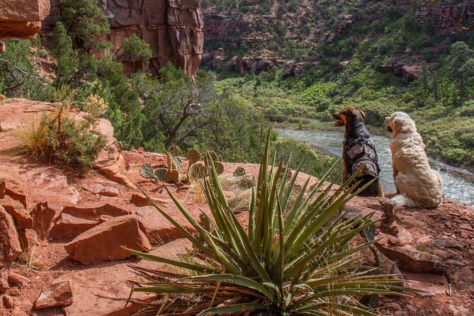Half-Day Arkansas River - The Numbers Rafting Tour - Returning to Dvorak Expeditions