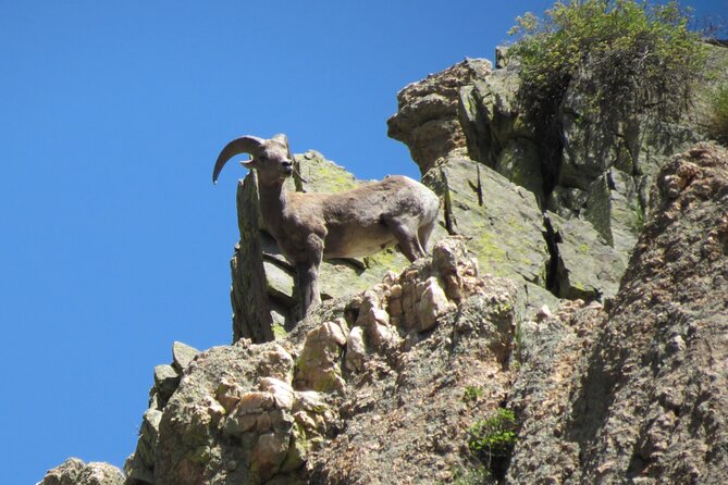 Half day Beg/Inter Rafting near Ft Collins - Estes Park - Boulder - How much value do you get for $99?