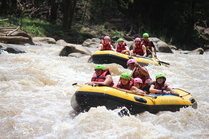 Half Day Elephant care and Whitewater Rafting Adventure - Why this Chiang Mai combination works