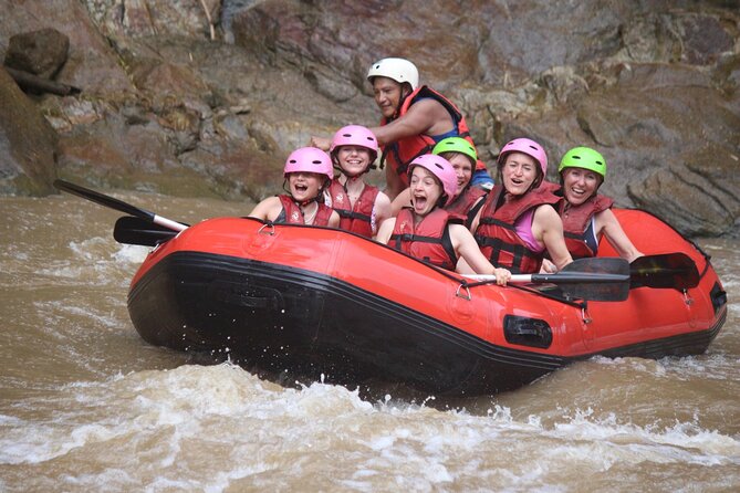 Half Day Elephant care and Whitewater Rafting Adventure - What the elephant visit feels like