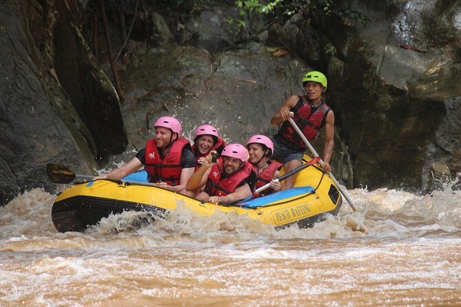 Half Day Elephant care and Whitewater Rafting Adventure - Meeting elephants through food and care