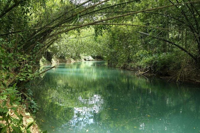 Half-Day Martha Brae Rafting Tour with Pickup Included - What the Price Means at $210 Per Person