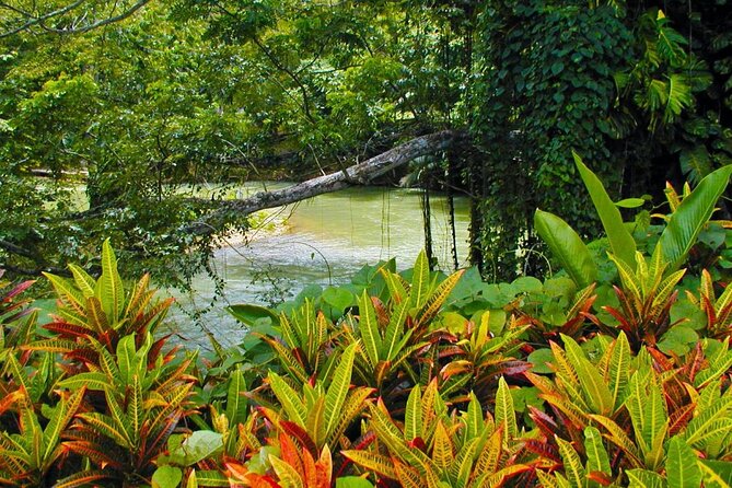 Half-Day Martha Brae Rafting Tour with Pickup Included - Timing, Weather, and Cancellation Rules