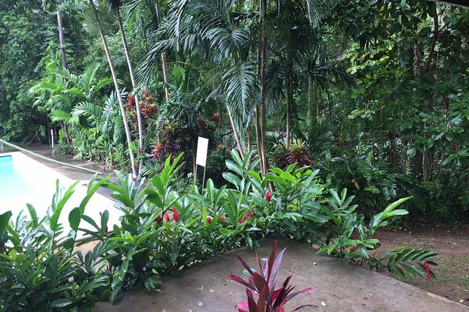 Half-Day Private Martha Brae Rafting Tour from Montego Bay - What the driver service adds