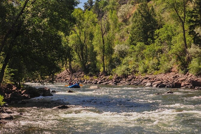 Half Day Roaring Fork Rafting - Family suitability and age considerations