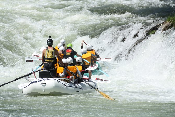 Half Day Rogue River White Water (Class I- IV) - Gold Hill is the starting line