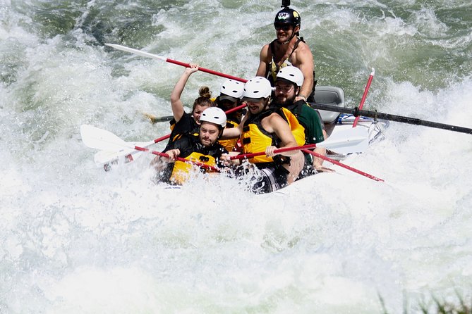 Half Day Rogue River White Water (Class I- IV) - Safety and guide style matter here