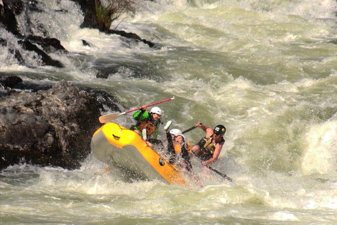 Half Day Rogue River White Water (Class I- IV) - Choosing between oars and paddles