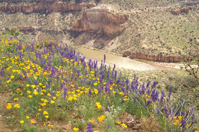 Half-Day Salt River Raft Trip - Cancellation and booking timing