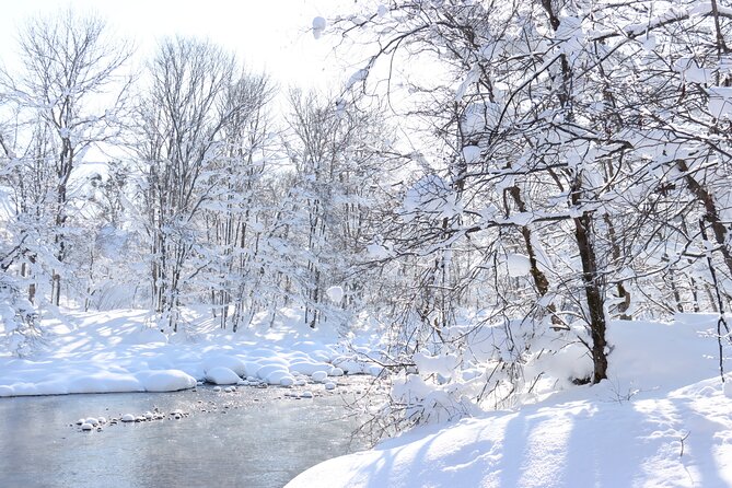 Half Day - Snow View Rafting in Niseko - How the $111.05 price measures up