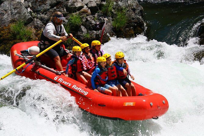 Half Day Whitewater Rafting Trip Trinity River - The opening stretch: floating, wildlife, and swimming