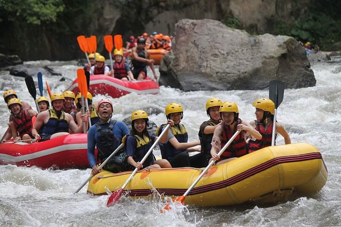 Hidden Canyon Beji Guwang & White Water Rafting - The Ayung River’s 10-kilometer rafting route