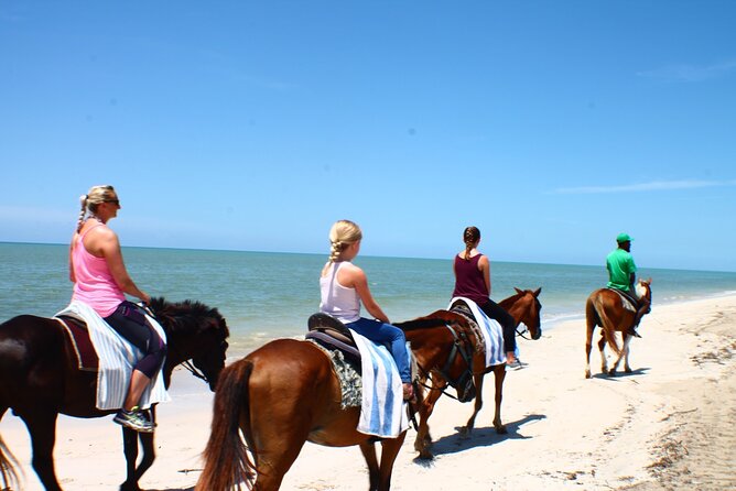 Horseback Ride ATV and Bamboo Rafting Tour Ocho Rios in Jamaica - Who will enjoy this Ocho Rios outing?
