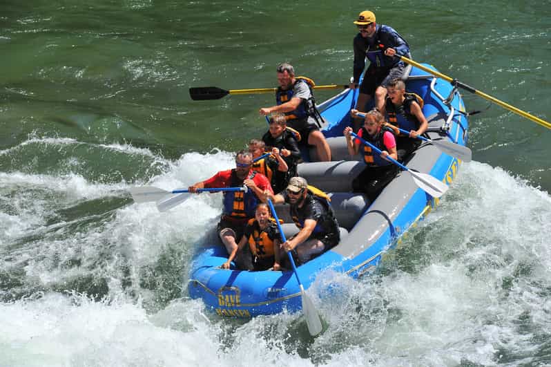Jackson: 4-Hour Small Boat Snake River Whitewater Rafting - Key points to know before booking