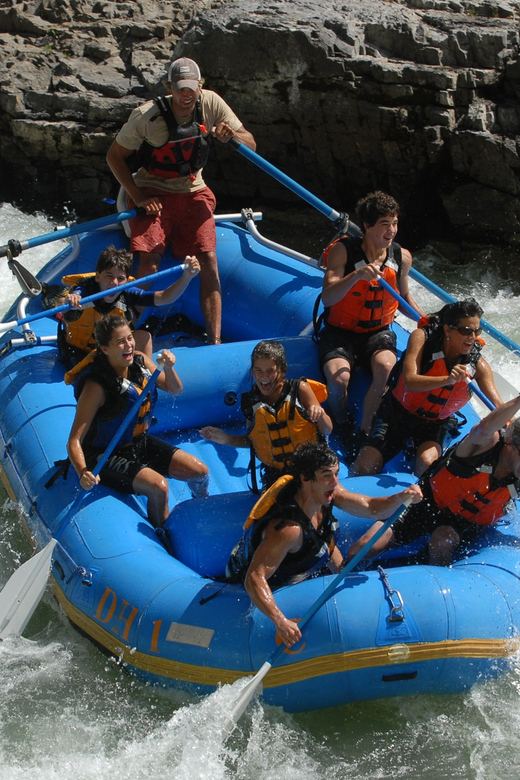 Jackson: 4-Hour Small Boat Snake River Whitewater Rafting - Starting near Jackson Town Square